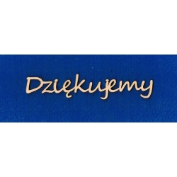 Dziękujemy wys.1,5cm /segoe